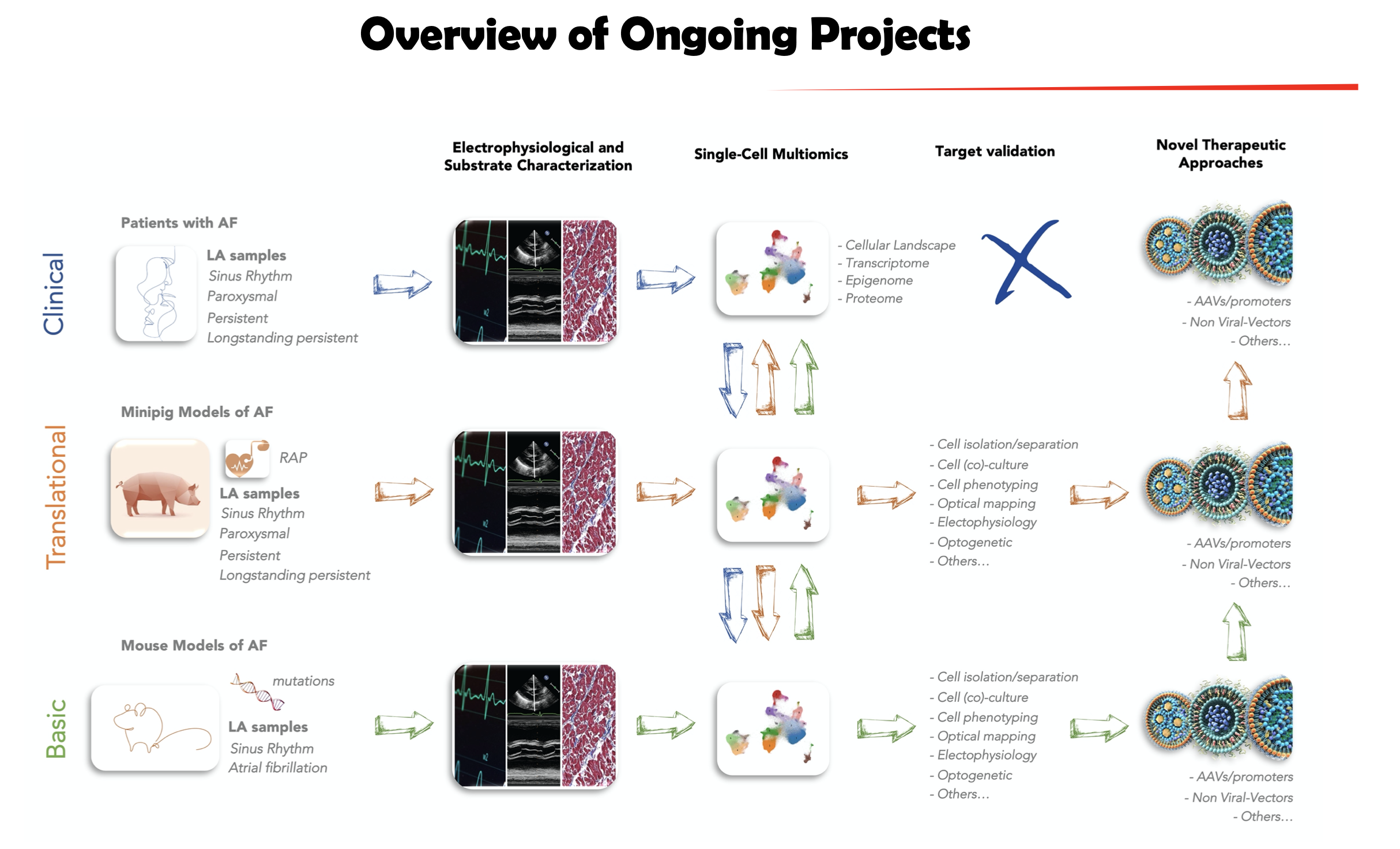 overview of ongoing projects