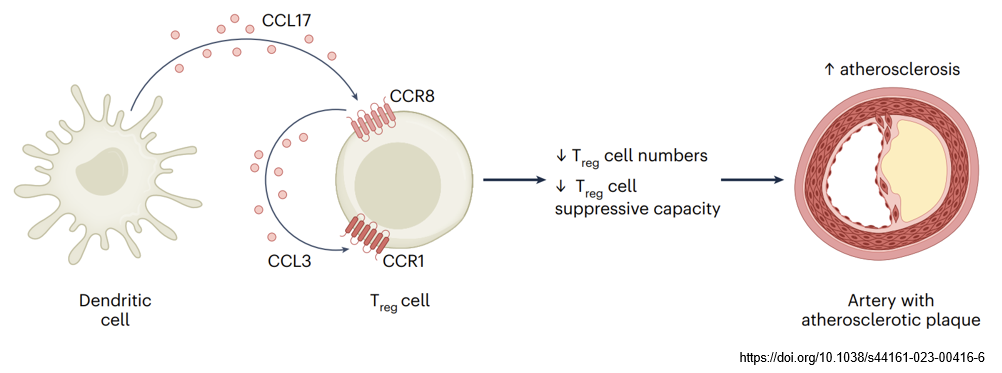 Chemokine receptor pathway